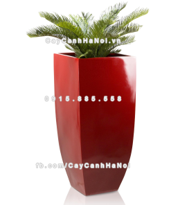 chau composite trong cay cao cap Anber 1025do do bong 4