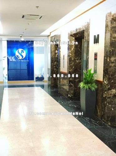 chau_composite_trong_cay_cao_cap_anber_1025xam_mo-3