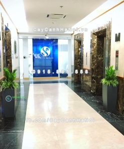 Chậu composite trồng cây cao cấp Anber 1025 (Xám mờ) 2 chau composite trong cay cao cap Anber 1025xam mo 3