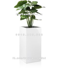 chau composite trong cay cao cap Anbertrang bong 3