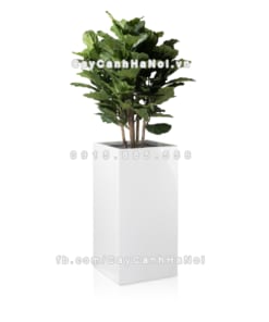 chau composite trong cay cao cap Anbertrang bong 4