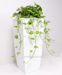 Chậu composite trồng cây cao cấp Anber 1025 (Trắng bóng) 2 chau composite trong cay cao cap anber 1025trang bong 3