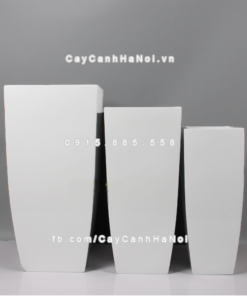 Chậu composite trồng cây cao cấp Anber 1025 (Trắng bóng) 3 chau composite trong cay cao cap anber 1025trang bong 4