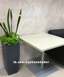 Chậu composite trồng cây cao cấp Anber 1025 (Xám mờ) 7 chau composite trong cay cao cap anber 1025xam mo 5 1