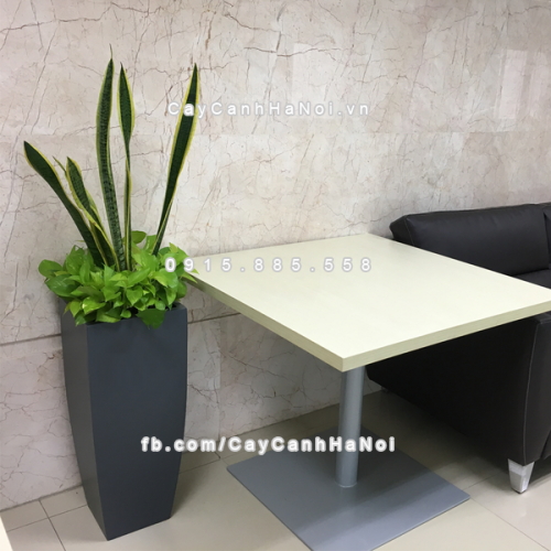 chau_composite_trong_cay_cao_cap_anber_1025xam_mo-5