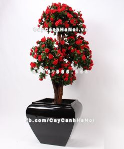 chau composite trong cay cao cap anber 1026den bong 1