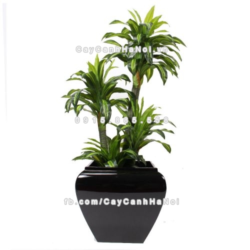 chau_composite_trong_cay_cao_cap_anber_1026den_bong-4