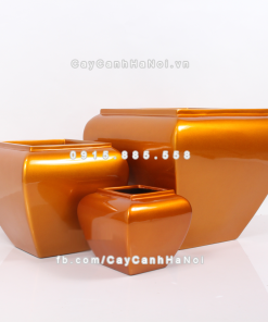 Chậu composite trồng cây cao cấp Anber 1026 (Vàng gold bóng) 2 chau composite trong cay cao cap anber 1026vang gold bong 1