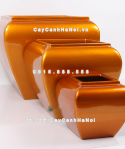 Chậu composite trồng cây cao cấp Anber 1026 (Vàng gold bóng) 3 chau composite trong cay cao cap anber 1026vang gold bong 2