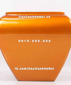 Chậu composite trồng cây cao cấp Anber 1026 (Vàng gold bóng) 1 chau composite trong cay cao cap anber 1026vang gold bong 3