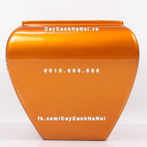 chau_composite_trong_cay_cao_cap_anber_1026vang_gold_bong-3