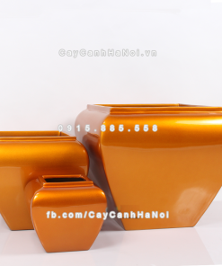 Chậu composite trồng cây cao cấp Anber 1026 (Vàng gold bóng) 5 chau composite trong cay cao cap anber 1026vang gold bong 7