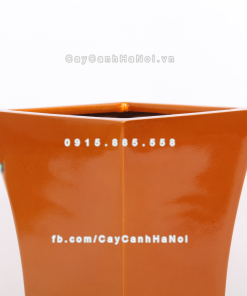 Chậu composite trồng cây cao cấp Anber 1027 (Vàng gold bóng) 1 chau composite trong cay cao cap anber 1027vang gold bong 2