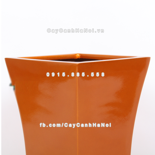 Chậu composite trồng cây cao cấp Anber 1027 (Vàng gold bóng) 2 chau_composite_trong_cay_cao_cap_anber_1027vang_gold_bong-2
