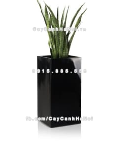 Chậu composite trồng cây cao cấp Anber 1051 (Đen bóng) 1 chau composite trong cay cao cap anber 1051den bong 2
