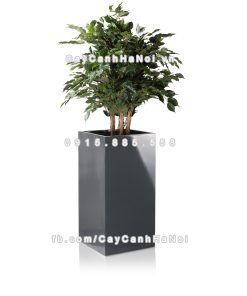 chau composite trong cay cao cap anber 1051xam bong 1