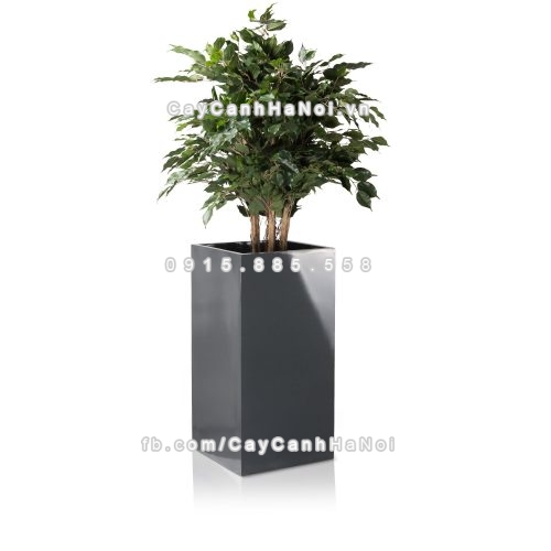 chau_composite_trong_cay_cao_cap_anber_1051xam_bong-1