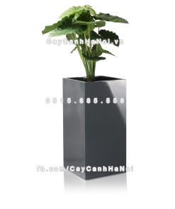 chau composite trong cay cao cap anber 1051xam bong 3