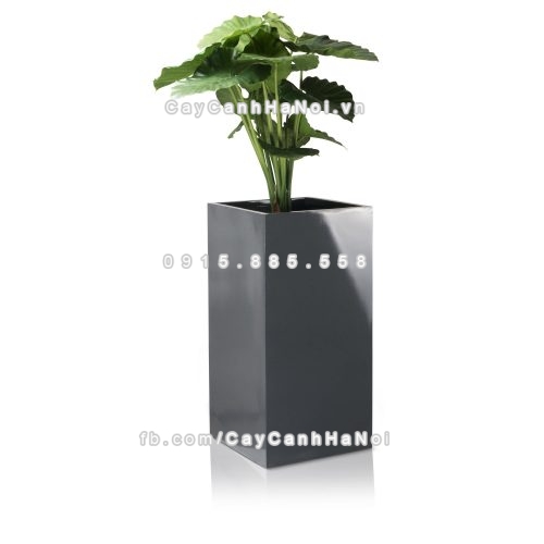 chau_composite_trong_cay_cao_cap_anber_1051xam_bong-3