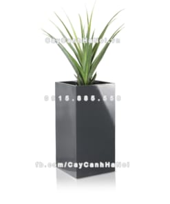 chau composite trong cay cao cap anber 1051xam bong 4