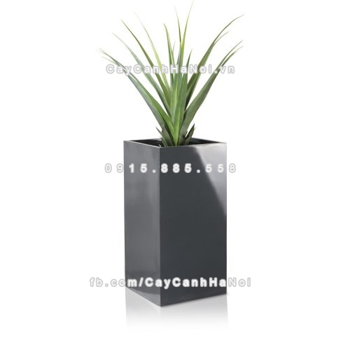 chau_composite_trong_cay_cao_cap_anber_1051xam_bong-4