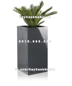 chau composite trong cay cao cap anber 1051xam bong 5