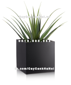 Chậu composite trồng cây cao cấp Anber 1055 (Đen mờ) 2 chau composite trong cay cao cap anber 1055den mo 2