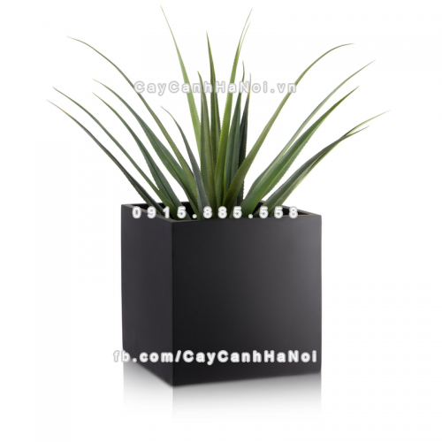 chau_composite_trong_cay_cao_cap_anber_1055den-mo-2