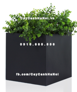 Chậu composite trồng cây cao cấp Anber 1055 (Đen mờ) 5 chau composite trong cay cao cap anber 1055den mo 6