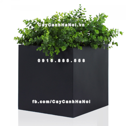 chau_composite_trong_cay_cao_cap_anber_1055den-mo-6