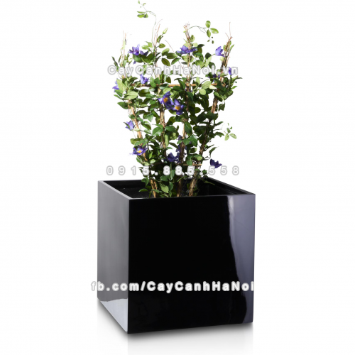 chau_composite_trong_cay_cao_cap_anber_1055den_bong-1