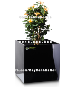 chau composite trong cay cao cap anber 1055den bong 4