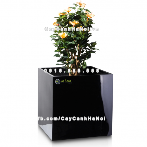 chau_composite_trong_cay_cao_cap_anber_1055den_bong-4