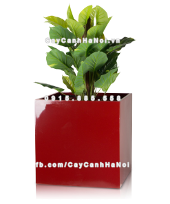 chau composite trong cay cao cap anber 1055do bong 1