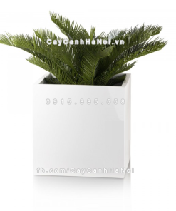 chau composite trong cay cao cap anber 1055trang bong 5