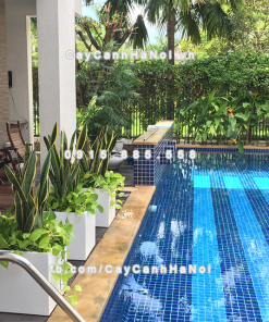 Chậu composite trồng cây cao cấp Anber 1055 (Trắng mờ) 2 chau composite trong cay cao cap anber 1055trang mo 1