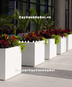 Chậu composite trồng cây cao cấp Anber 1055 (Trắng mờ) 4 chau composite trong cay cao cap anber 1055trang mo 4