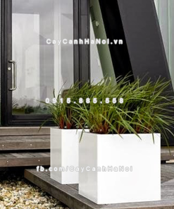 Chậu composite trồng cây cao cấp Anber 1055 (Trắng mờ) 5 chau composite trong cay cao cap anber 1055trang mo 5