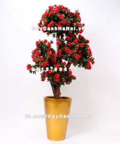 chau composite trong cay cao cap anber 1069vang gold bong 4