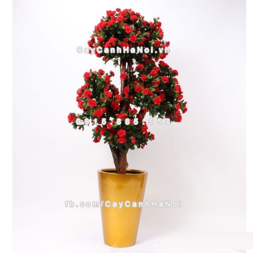 chau_composite_trong_cay_cao_cap_anber_1069vang_gold_bong-4