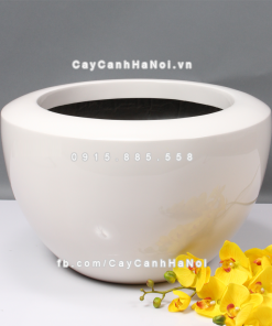 chau composite trong cay cao cap anber 1126trang bong 2