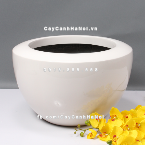 chau_composite_trong_cay_cao_cap_anber_1126trang-bong-2