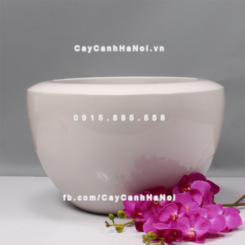 chau_composite_trong_cay_cao_cap_anber_1126trang-bong-3