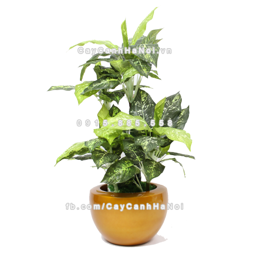 chau_composite_trong_cay_cao_cap_anber_1126vang-gold-2