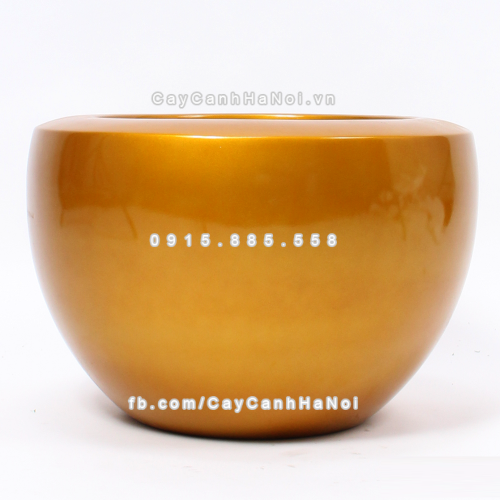 Chậu composite trồng cây cao cấp Anber 1126 (Vàng gold) 7 chau_composite_trong_cay_cao_cap_anber_1126vang-gold-3