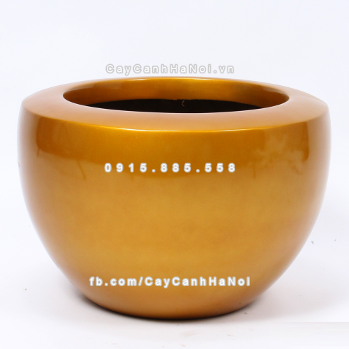 chau_composite_trong_cay_cao_cap_anber_1126vang-gold-4