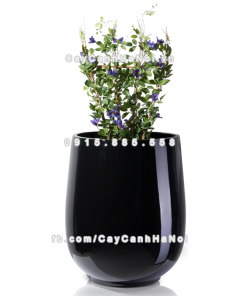 chau composite trong cay cao cap anber 1133den bong 4