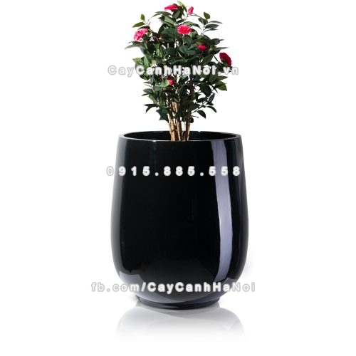 chau_composite_trong_cay_cao_cap_anber_1133den-bong-6