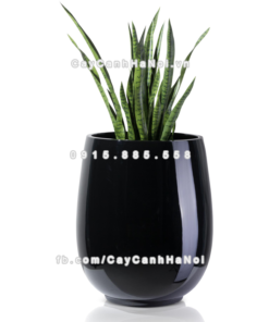 chau composite trong cay cao cap anber 1133den bong 7