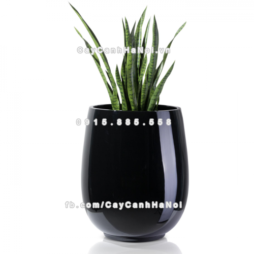 chau_composite_trong_cay_cao_cap_anber_1133den-bong-7